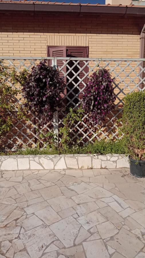 פיומיצ'ינו Rosilienza Suites Private Spa, Patio Garden Free Trasfer To & From Airport מראה חיצוני תמונה